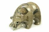 Realistic, Polished Fossil Staghorn Coral Bear with Fish #308426-1